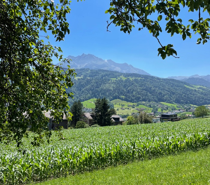 Luzern – Walking from Obergütsch to hotel Sonnenberg