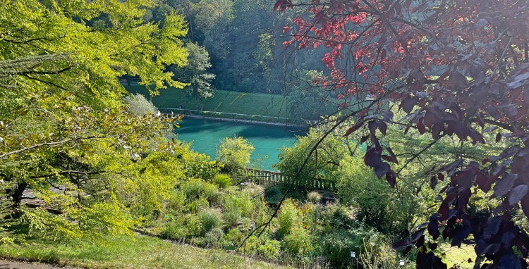 Botanical garden of Bern