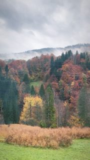 Tag along on an autumn train ride through the Swiss hills 🍁🍁🍂🇨🇭#myswitzerland #davosklosters #switzerland #schweiz #autumn #suisse #fall #swissalps #theswisspath