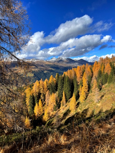 Rinerhorn Davos